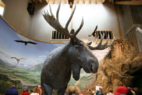 �N���b�N����ƃX���C�h�ʐ^���������